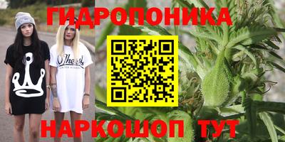 гидра Будённовск