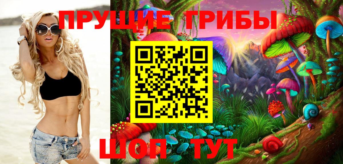 где найти наркотики  Галлюциногенные грибы Psilocybe  Вход с VPN  Кропоткин 